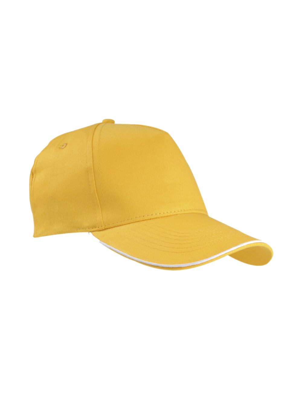 CAPPELLINO_SIPEC_CON_PROFILO