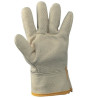 Offer Kevlar work glove 15 cm work at the lowest price