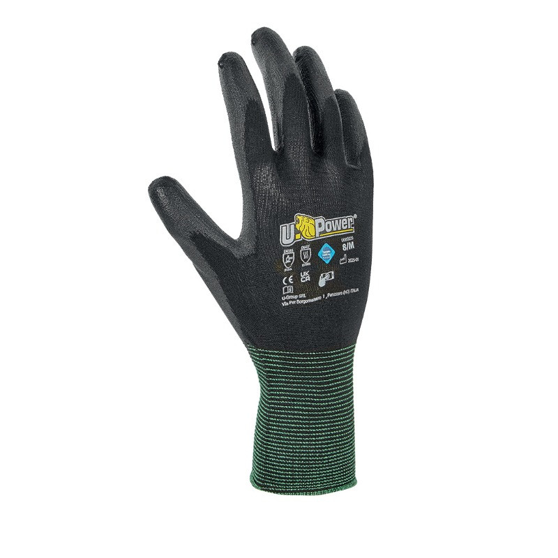 Guanti Fly Confezione 12 Paia