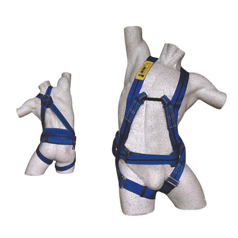 Offer Harness with 2 anchor points for work at the lowest price